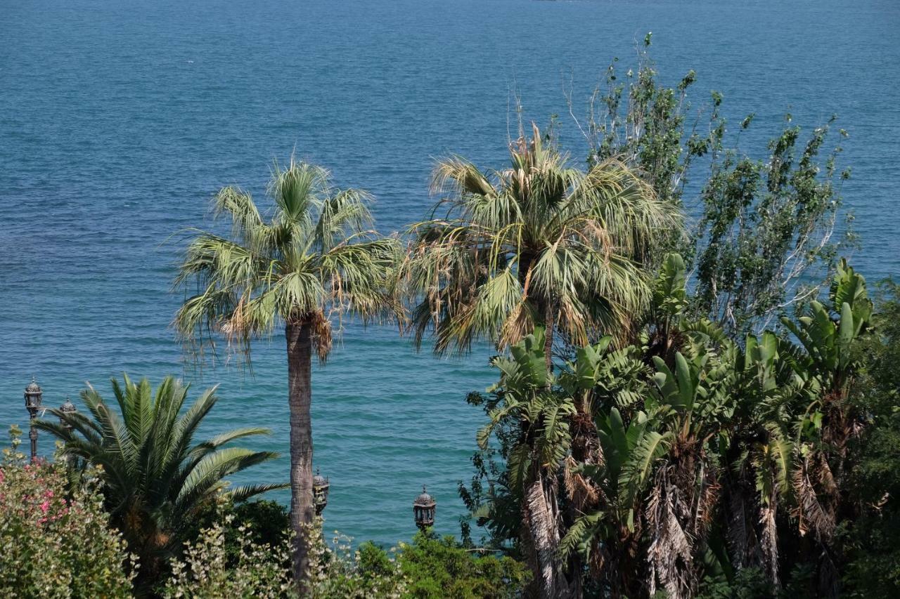 Fabuloso Atico Con Vistas Al Mar كاديز المظهر الخارجي الصورة